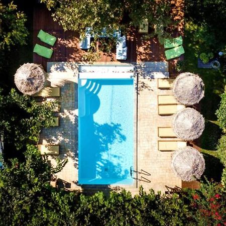 Turdus Merula Retreat Неа-Макрі Екстер'єр фото